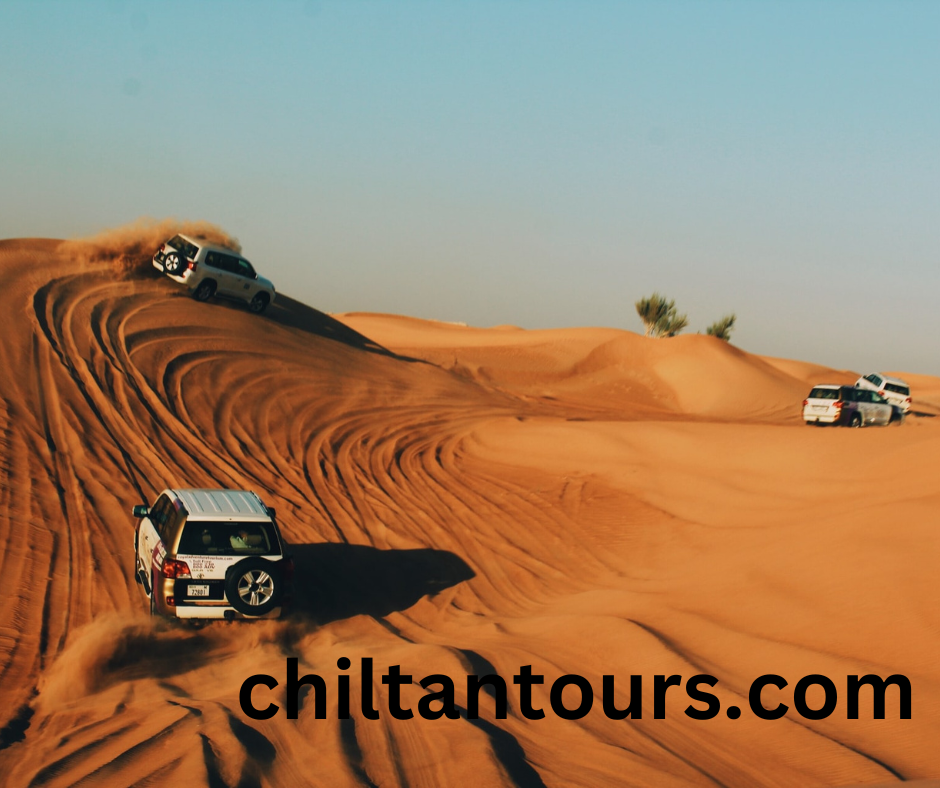 What to Expect on a Desert Safari