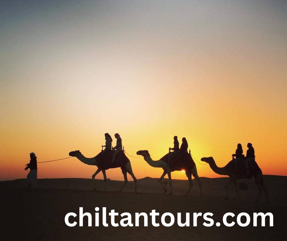 Best Desert Safari in Dubai Review