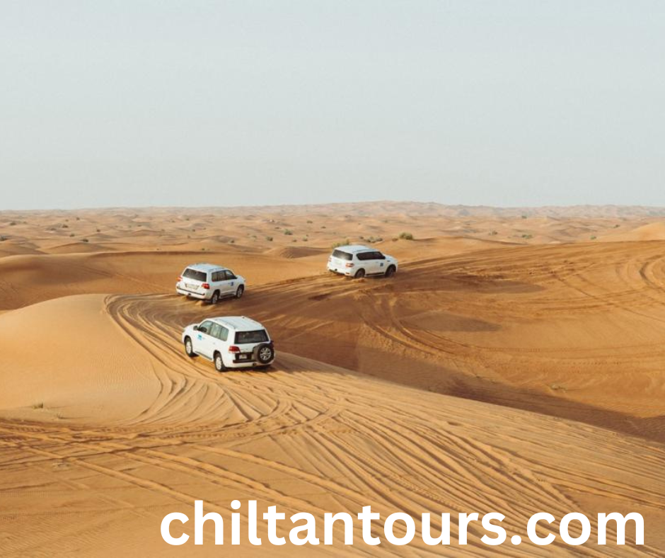 Conclusion: Choosing Your Best Desert Safari Experience