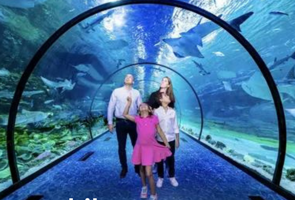 SeaWorld Abu Dhabi