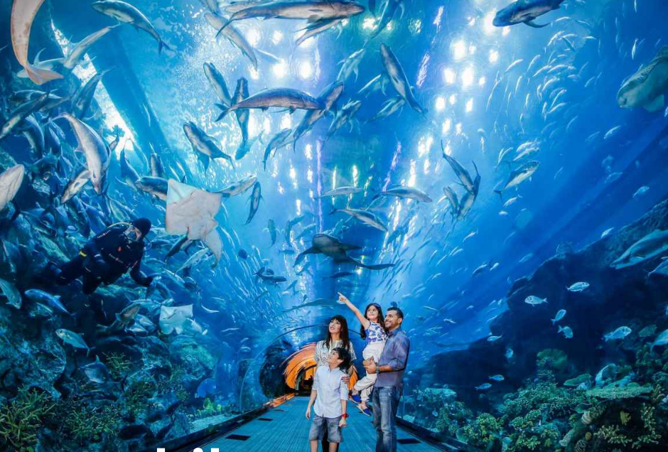 SeaWorld Abu Dhabi