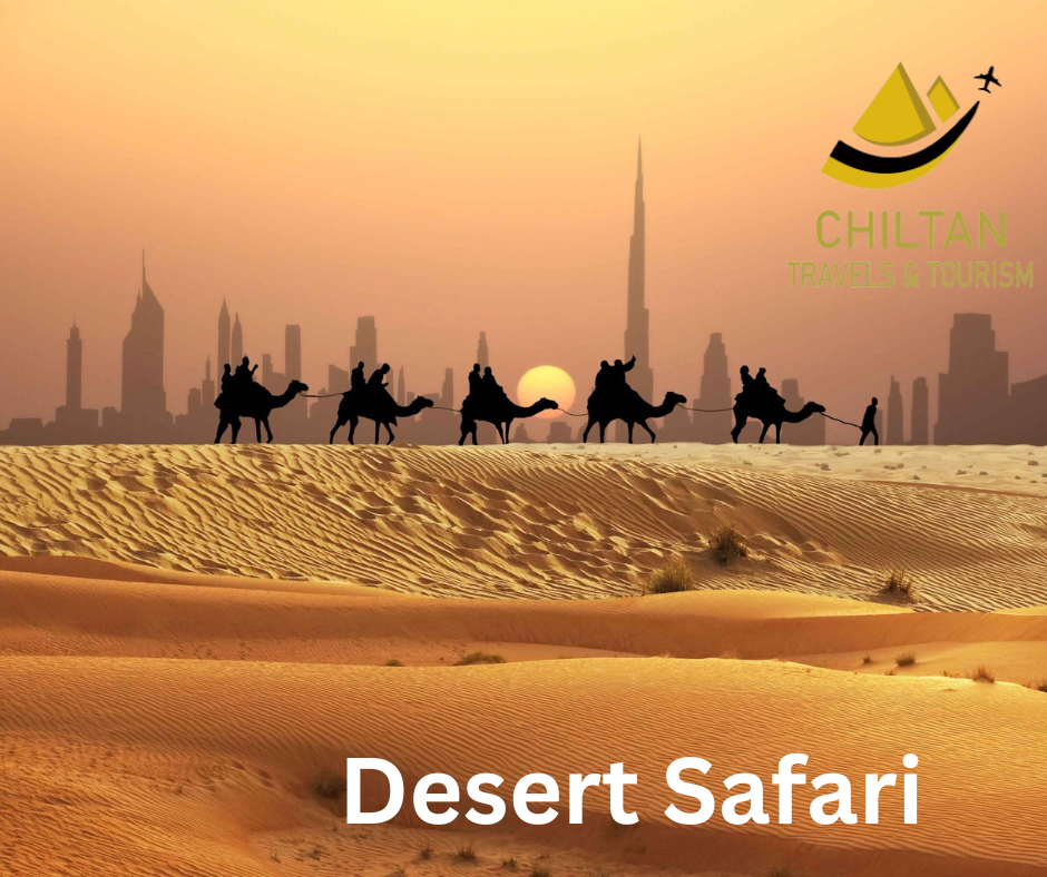 The Desert Safari Experience