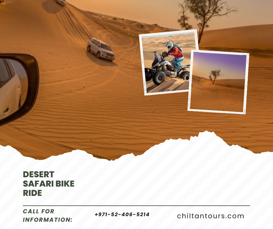 Overview of Desert Safari Bike Ride