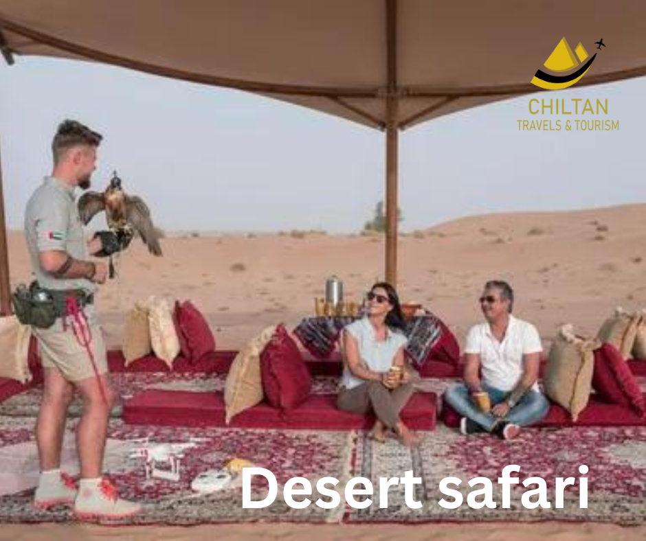 What to Expect on the Day of Your Desert Safari