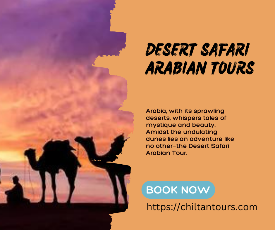 Overview of Desert Safari Arabian Tours