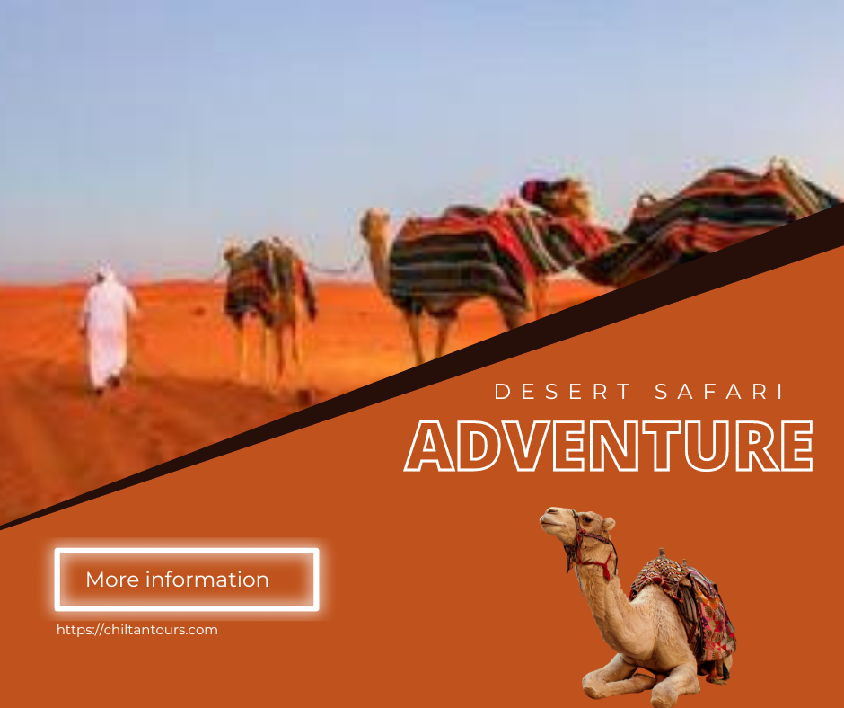 The Desert safari Arabian Adventures a Majestic Backdrop
