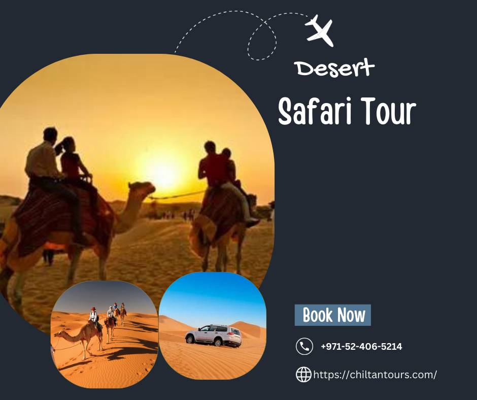 Overview of Desert Safari VIP Package