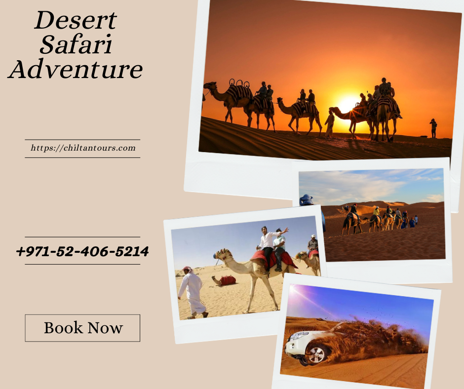 Starry Nights and Desert Dreams Overnight Camping Extravaganza