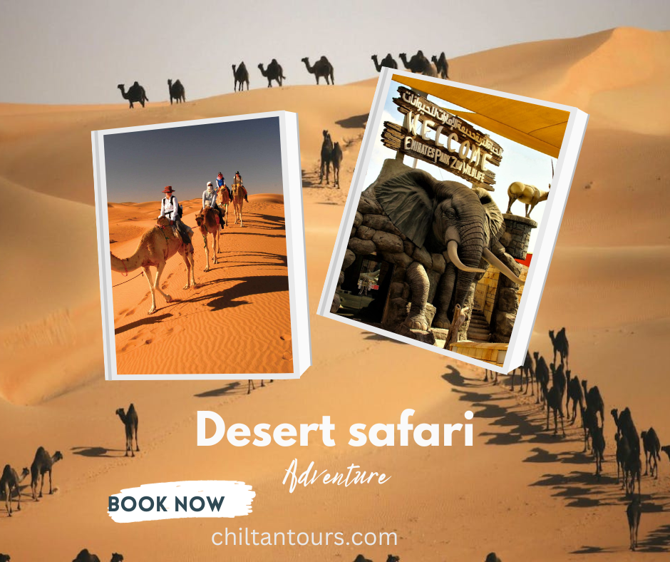 Overview of Desert Adventures Desert Safari in Dubai
