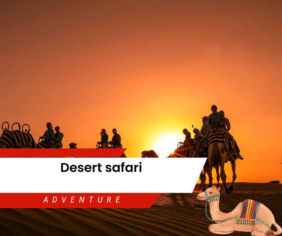 Overview of Dubai Adventure Desert Safari Ratings