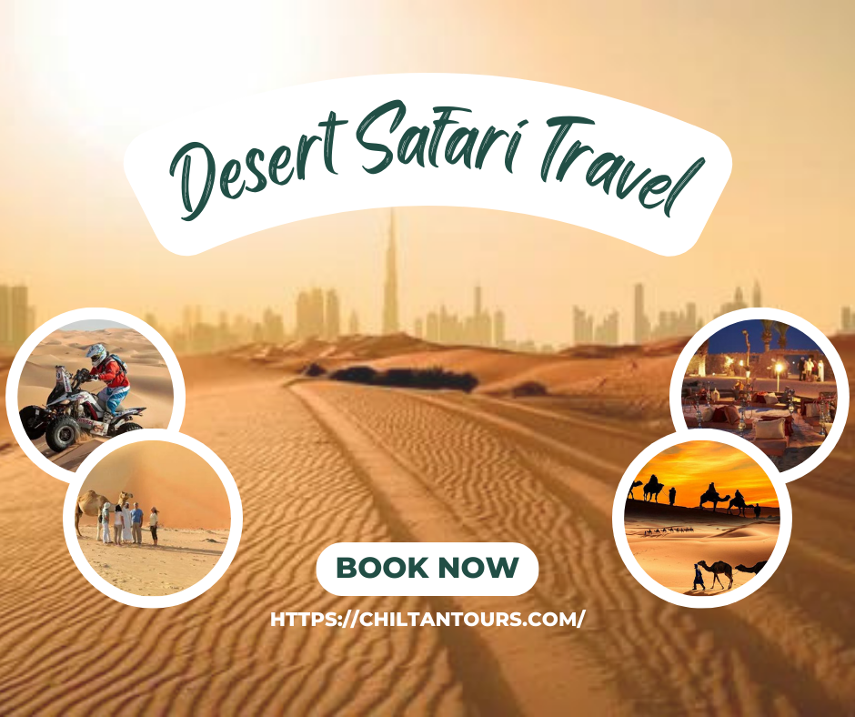 Best Desert Safari Day Trip Dubai