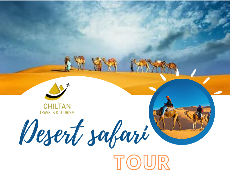 Overview of the Desert Safari Tour Group