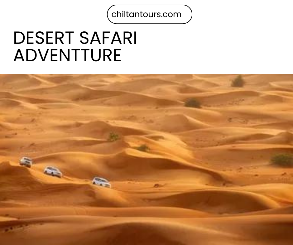 Tips for Planning Your Royal Adventure Dubai Desert Safari