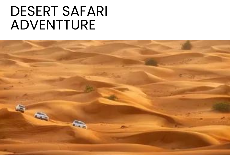 Royal Adventure Dubai Desert Safari