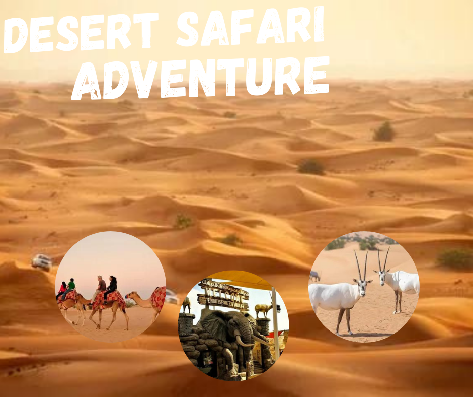 Royal Adventure Package in Dubai Desert Safari