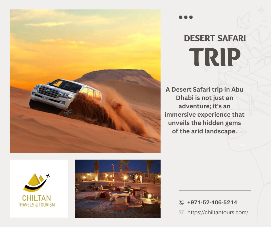 Booking Your Desert Expedition - Tips for Choosing the Right Tour Operator