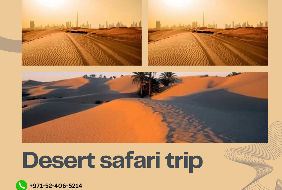 Desert Safari trip