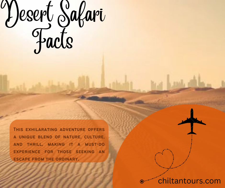 Best Desert Safari Facts: