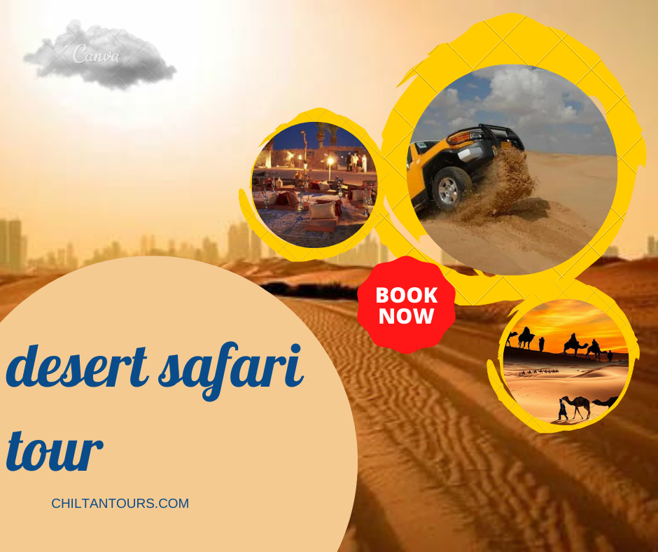 Overview of Desert Safari Tour in Doha