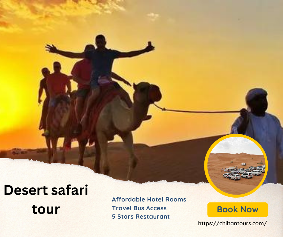 Overview of Desert Safari Lama Tours