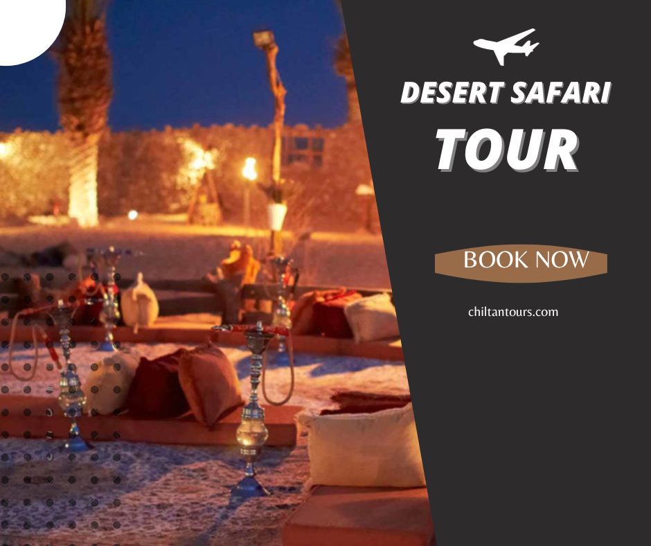 Overview of Abu Dhabi Evening Desert Safari & Dinner Under the Stars
