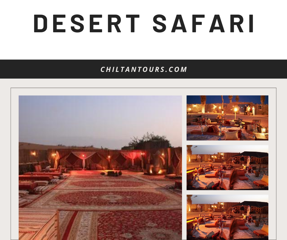 Overview of Abu Dhabi Evening Desert Safari & Dinner Under the Stars: