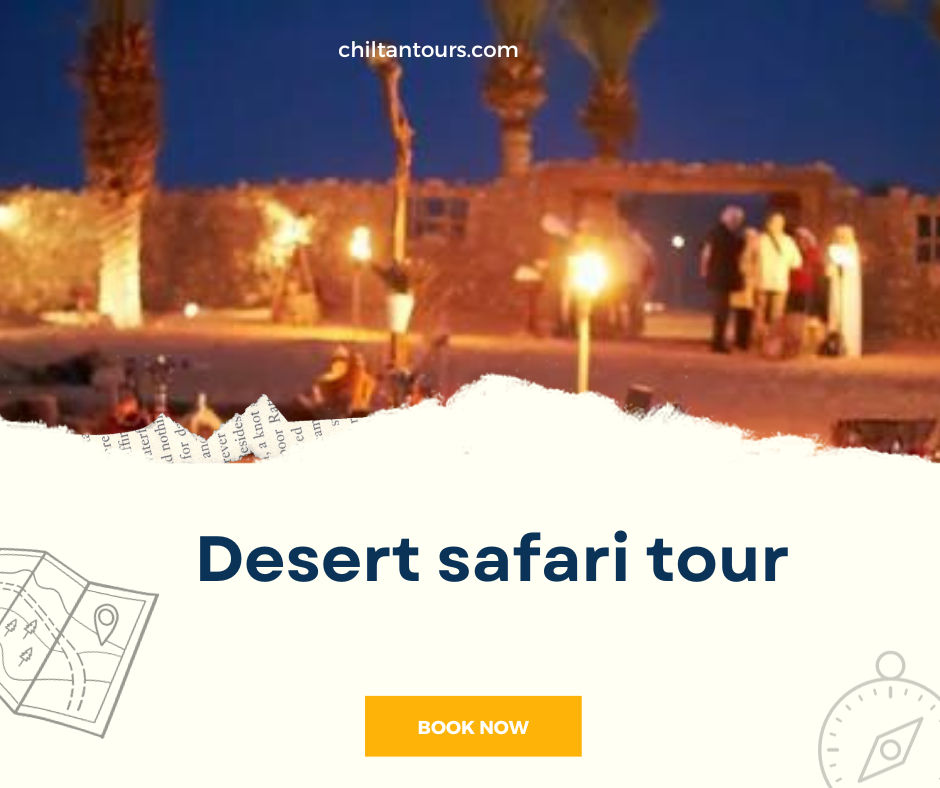 Overview of VIP Evening Desert Safari