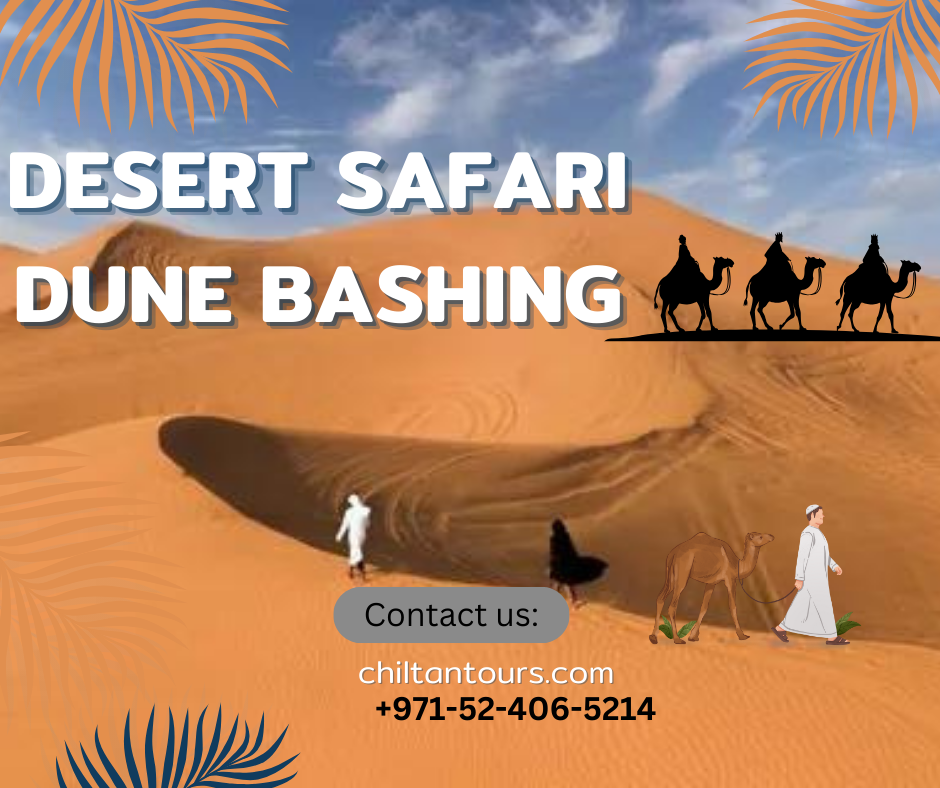Tips for Making the Most out of Your Desert Safari Experience