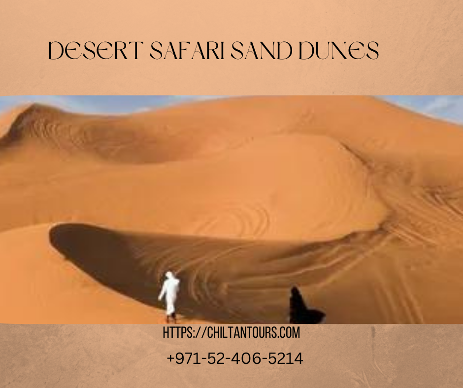 What to Expect on a Desert Safari Sand Dunes Tour